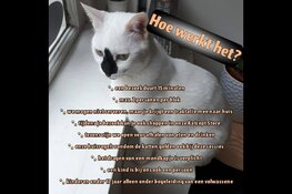 Eindelijk kun je onze katten weer echt komen knuffelen!