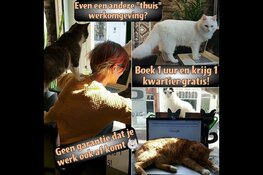 Eindelijk kun je onze katten weer echt komen knuffelen!