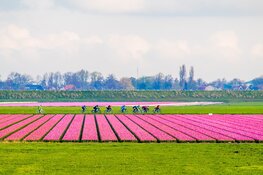 Le Champion annuleert drie Alkmaarse sportevenementen, maar ziet licht aan het einde van de tunnel