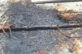 Brandje in voormalige school Schermerhorn