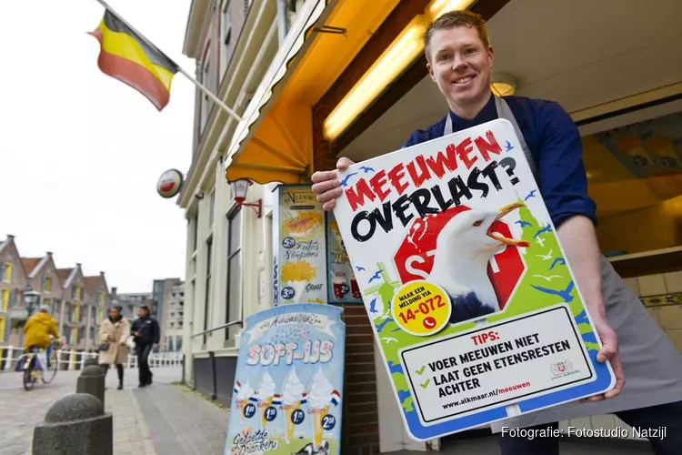 Meeuwen broedseizoen start weer; Wat te doen tegen meeuwenoverlast?