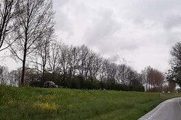 Bomen langs de Westdijk (N244) in Zuidschermer 40 jaar oud en ziek