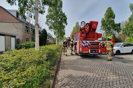 Brand in woning Biesboschstraat