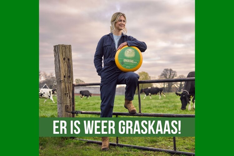 Er is weer graskaas...bij Zuivelhoeve Alkmaar