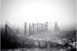 Ingetogen en uitgesproken: drie maal een andere visie op het Stilleven