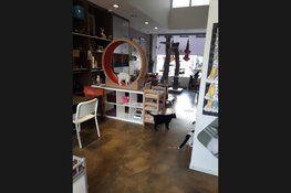 DigiBeet en Katten Café is weer open