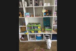 DigiBeet en Katten Café is weer open
