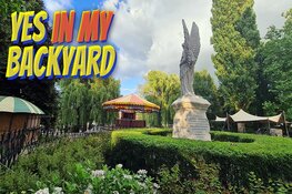 Acht concerten tijdens zomerfestival &#39; YES IN MY BACKYARD&#39;