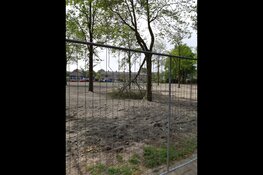 Oproep: Waar blijft die Tijdelijke natuur?