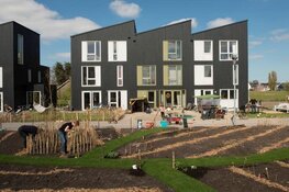 'Opkomst nieuwe woonvormen in Nederland'