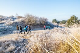 Inschrijving Egmond-Pier-Egmond, NN Egmond Halve Marathon én Egmond Wandel Marathon geopend