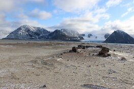 Historisch Café: Lezing over walvisvaart in De Rijp