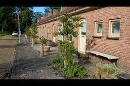 De pilot Sociaal Tuinieren van Stichting Present Alkmaar is een groot succes!