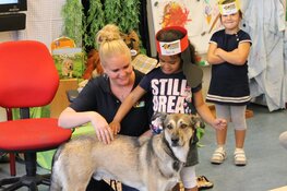 Ilja Moll (Alkmaar) gehuldigd als erevrijwilliger voor het Sophia SnuffelCollege
