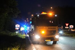 Kop-staartaanrijding door uitwijkmanoevre vanwege overstekend dier