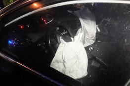 Kop-staartaanrijding door uitwijkmanoevre vanwege overstekend dier