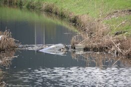 Mogelijk drugsafval gevonden in sloot in Alkmaar