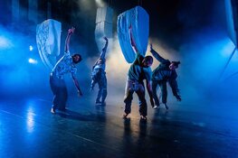 Mix van dans en circus in theater De Vest