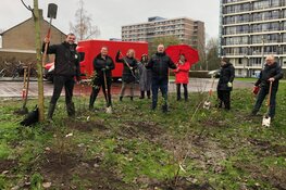 Samen Alkmaar groener en aantrekkelijker maken