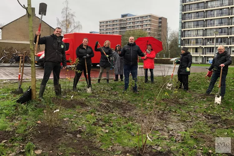 Samen Alkmaar groener en aantrekkelijker maken