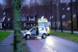 Bestuurster crasht tegen boom in Daalmeer