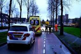 Bestuurster crasht tegen boom in Daalmeer