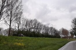 Weekendafsluitingen Westdijk (N244) in Zuidschermer vanwege kap zieke en oude bomen