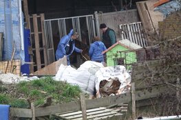 Wederom dieren in beslag genomen bij omstreden boerderij in Grootschermer