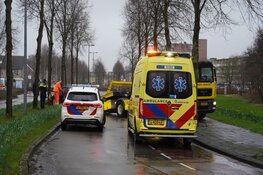Auto tegen boom gereden in Alkmaar