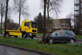 Auto tegen boom gereden in Alkmaar