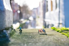 Unieke en splinternieuwe stadsroute in aantocht: Mini Alkmaar 
