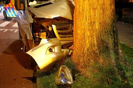 Bestelbus tegen boom gereden in Alkmaar