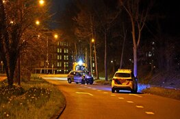 Auto tegen boom op Laan van Bath