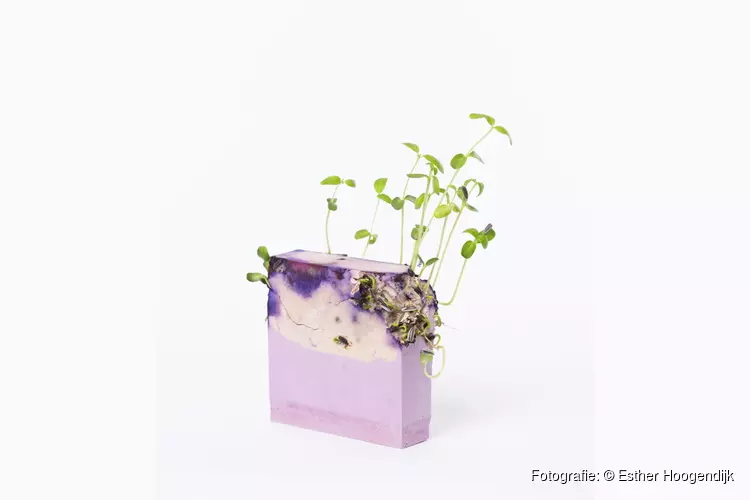 Expositie WATER 9 april t/m 14 mei 2022 bij Kunstuitleen Alkmaar