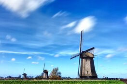 Ontdek de Schermermolens tijdens de Nationale Molendagen 2022!