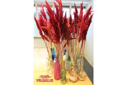 Waar zouden we zijn zonder vrijwilligers?