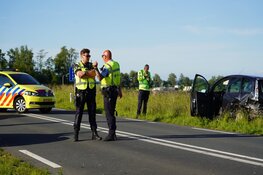 Meerdere gewonden na ongeval door overstekende eendjes op N244