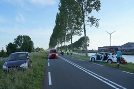 Meerdere gewonden na ongeval door overstekende eendjes op N244