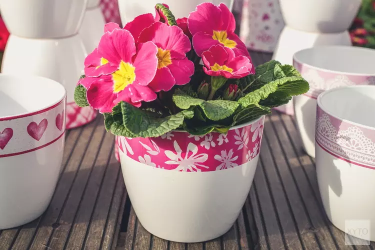 Creatieve activiteit voor mantelzorgers