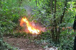 Brand in de bosjes langs Haringvlietpad in Alkmaar