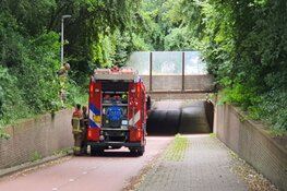 Brand in de bosjes langs Haringvlietpad in Alkmaar