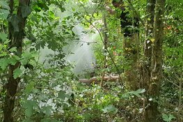 Brand in de bosjes langs Haringvlietpad in Alkmaar