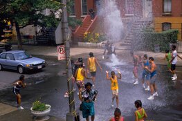 Buitenvertoningen Filmhuis Alkmaar 2022 bij HAL 25!