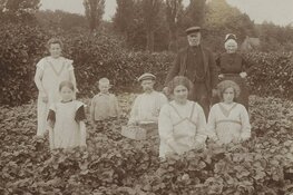 Nieuwe cursussen Regionaal Archief van start. Je stamboom leren uitzoeken of oude handschriften lezen