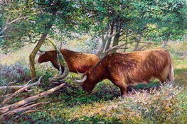 Schilderijen en plafond bewonderen in Oud-Katholieke kerk Alkmaar