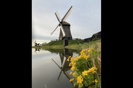 Schermermaaldag, zondag 4 september