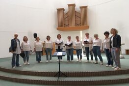 Meezingen met Vrouwenkoor DonnAcappella?