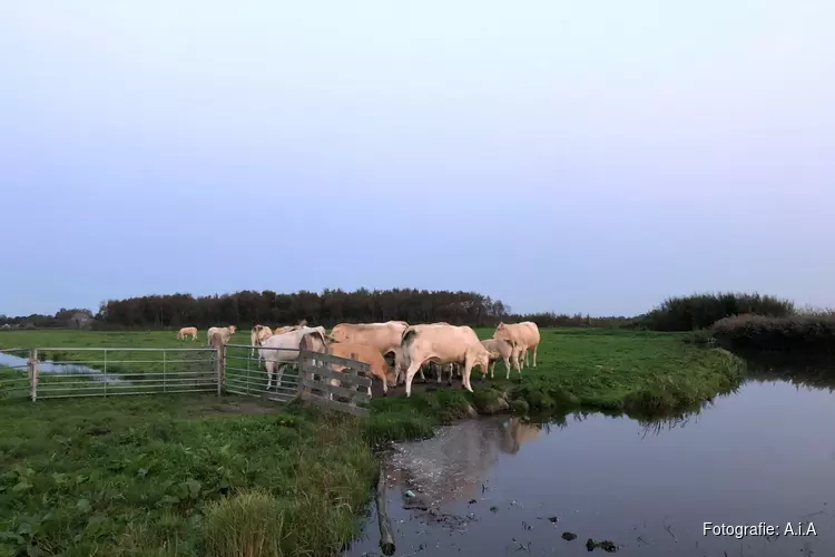 AIA Lezing &#39;De toekomst van het landelijk gebied rondom Alkmaar&#39;