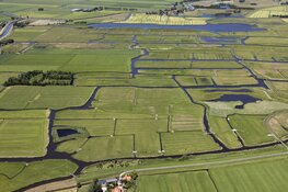 Vacature vrijwilliger natuurbeheer Eilandspolder