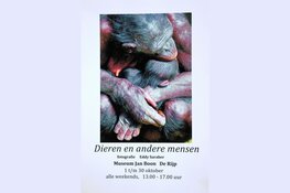 Expositie Eddy Saraber in Museum Jan Boon